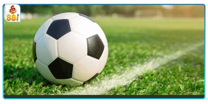 Các hình thức đặt cược được ưa chuộng