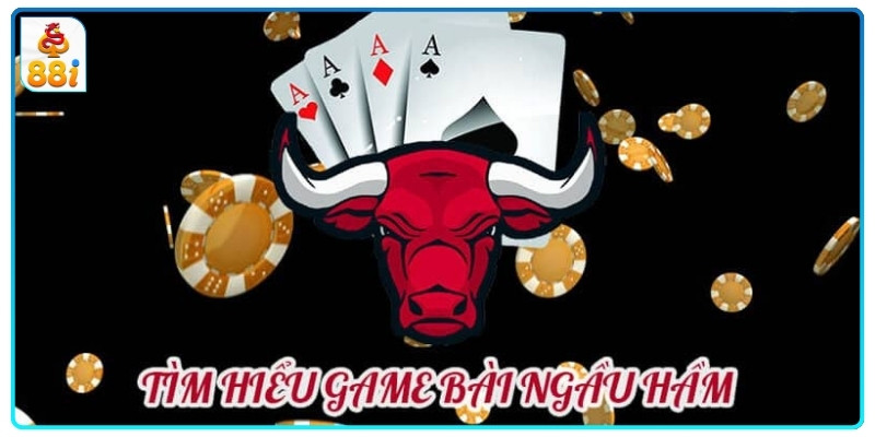 Toàn bộ thông tin về loại hình độc đáo ngầu hầm